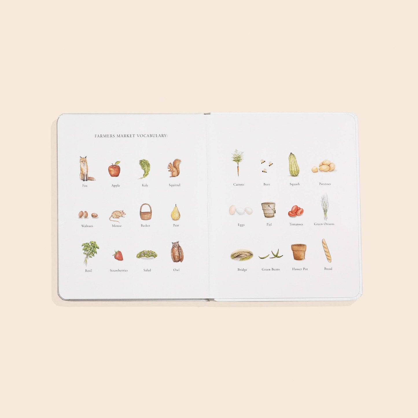 Our Little Adventure to the Farmers Market (Board Book)