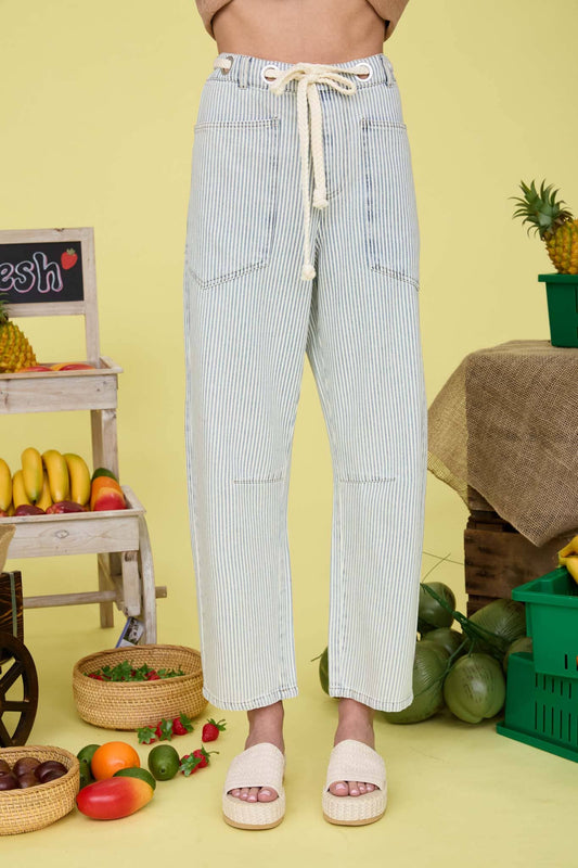 Bailey Stripe Denim Pants