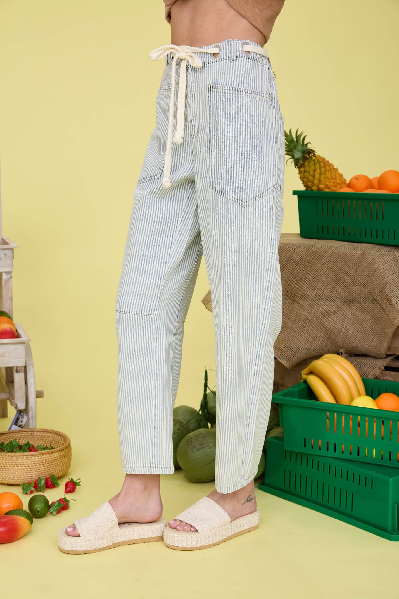 Bailey Stripe Denim Pants